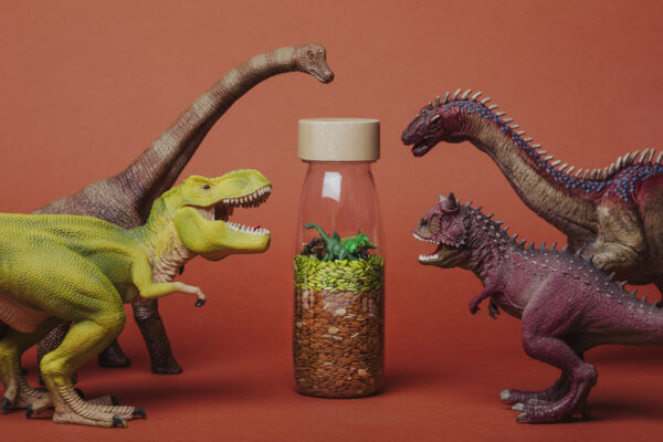 bouteille découverte Jurassic – Image 6