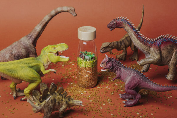 bouteille découverte Jurassic – Image 3
