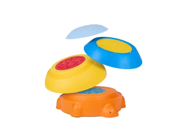 Tortue Sensorielle de motricité – Image 4